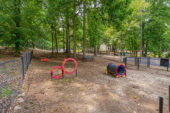 Pet park
